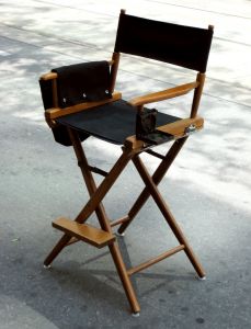 Director's seat